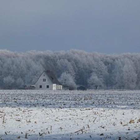 Ferienhaus Mit 2 Fewo In Mecklenburg Appartamento Wesenberg Esterno foto