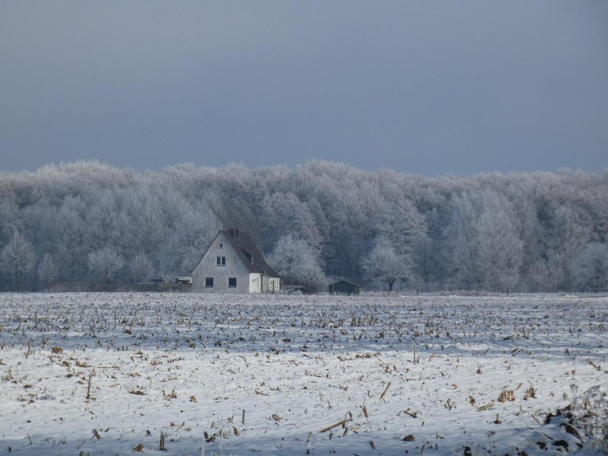 Ferienhaus Mit 2 Fewo In Mecklenburg Appartamento Wesenberg Esterno foto