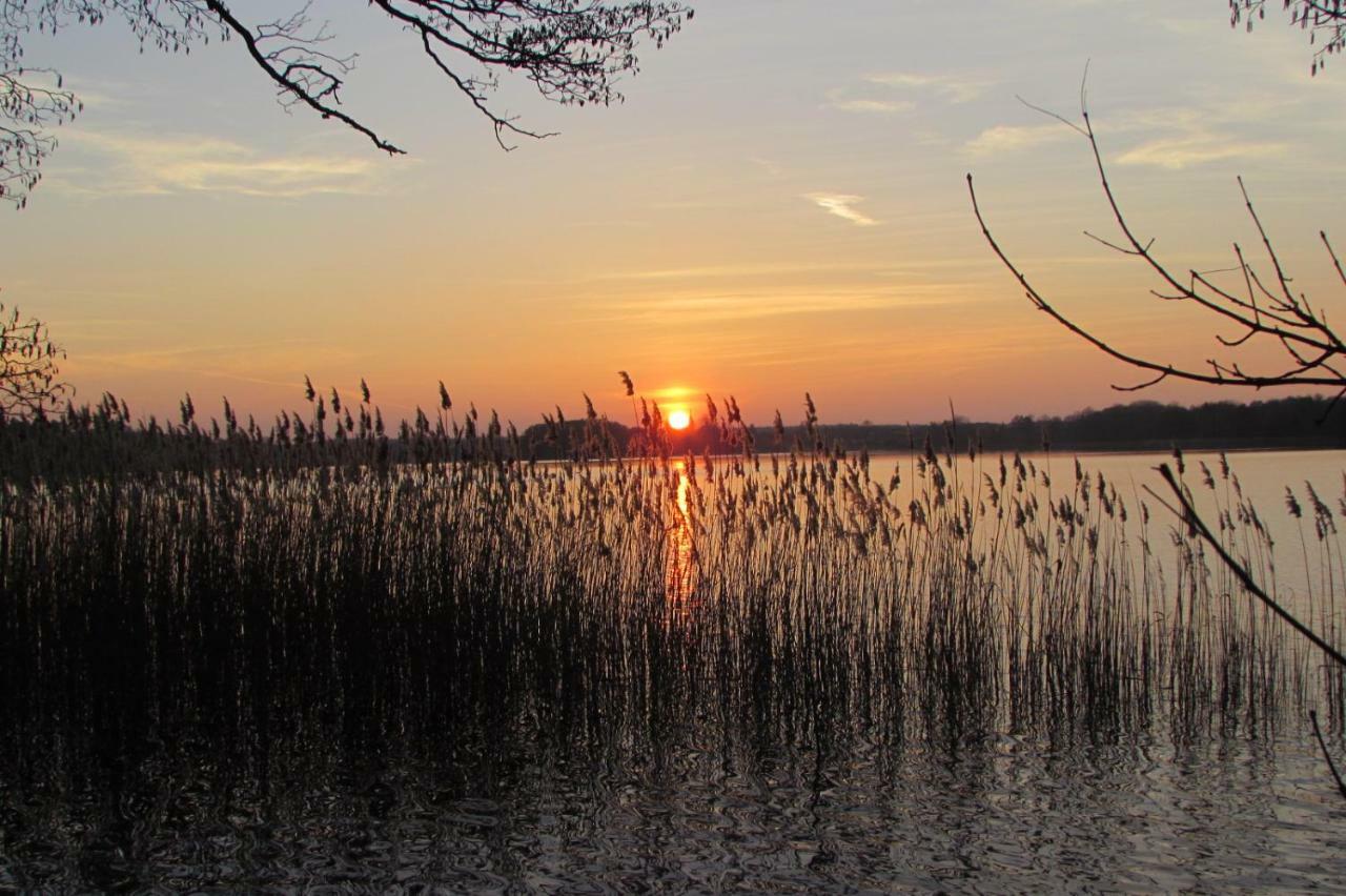 Ferienhaus Mit 2 Fewo In Mecklenburg Appartamento Wesenberg Esterno foto