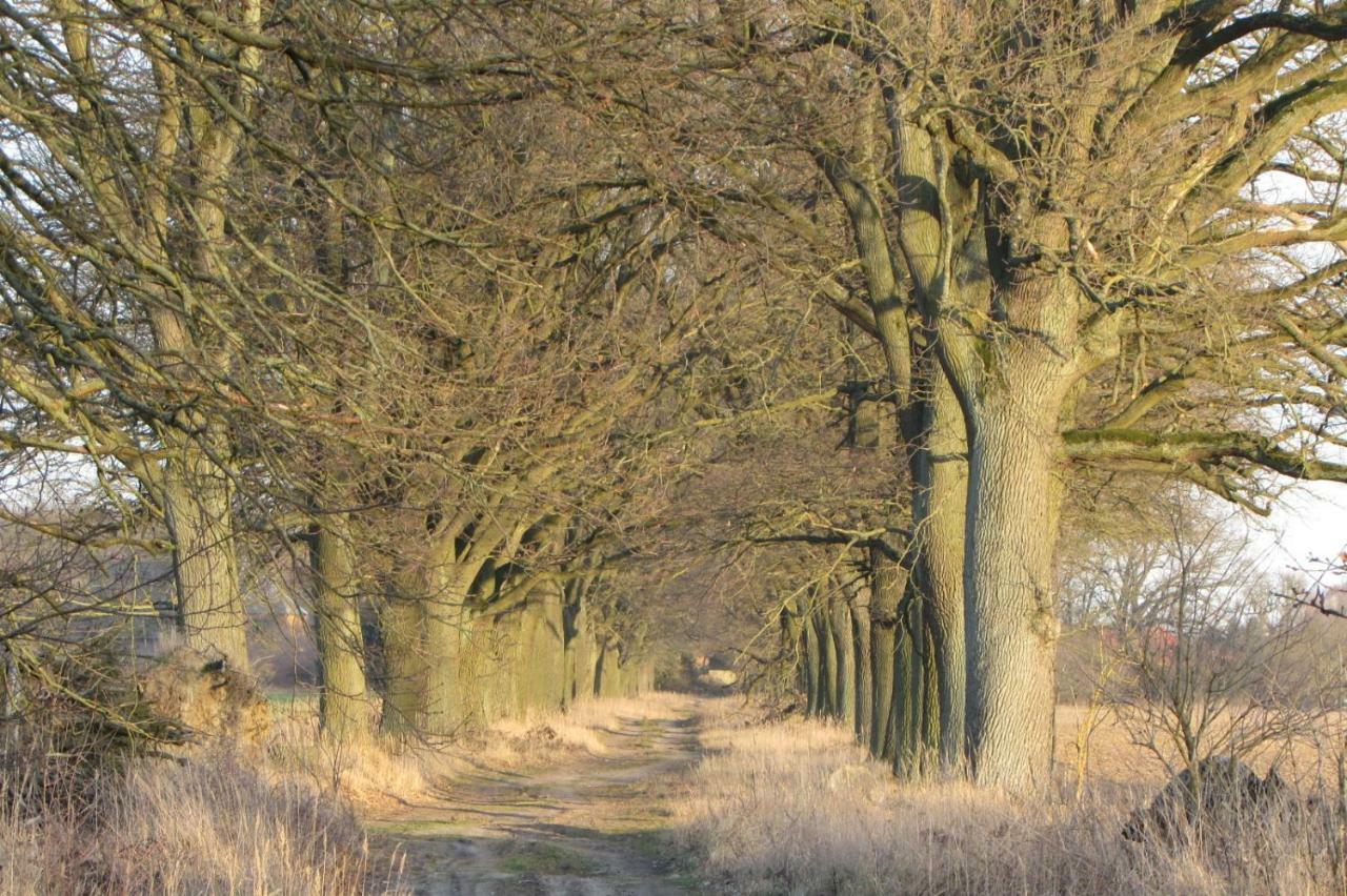 Ferienhaus Mit 2 Fewo In Mecklenburg Appartamento Wesenberg Esterno foto