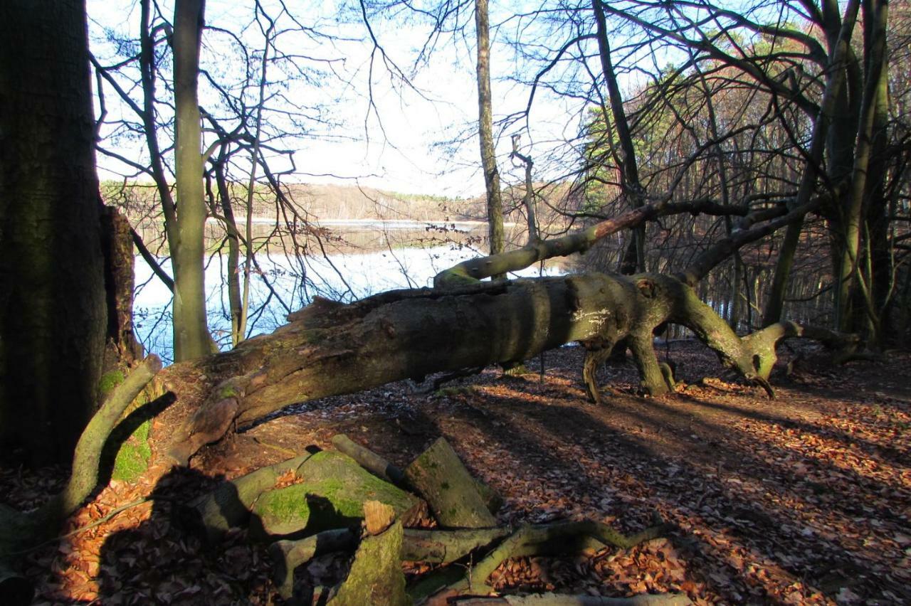 Ferienhaus Mit 2 Fewo In Mecklenburg Appartamento Wesenberg Esterno foto