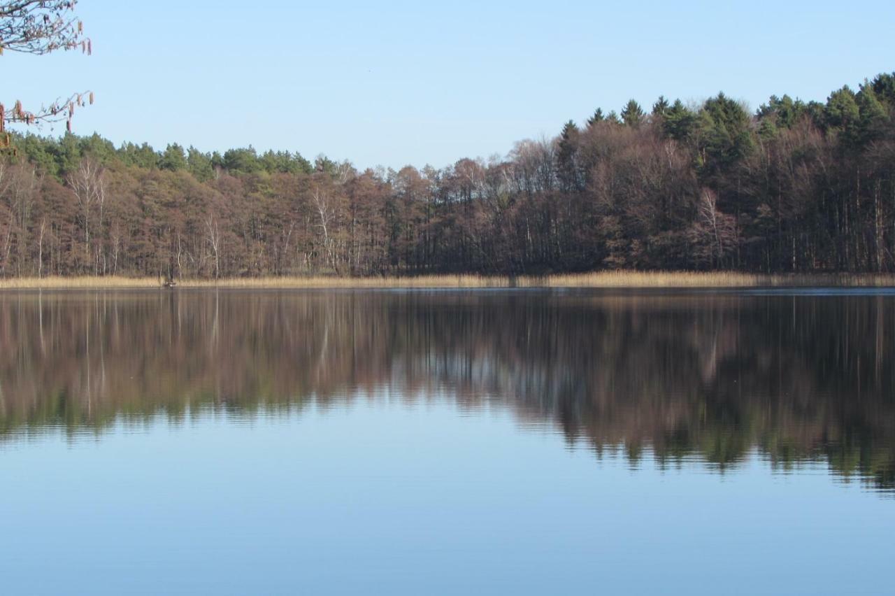 Ferienhaus Mit 2 Fewo In Mecklenburg Appartamento Wesenberg Esterno foto