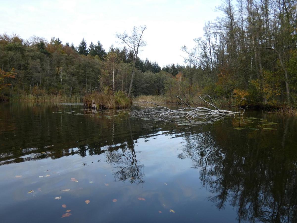 Ferienhaus Mit 2 Fewo In Mecklenburg Appartamento Wesenberg Esterno foto